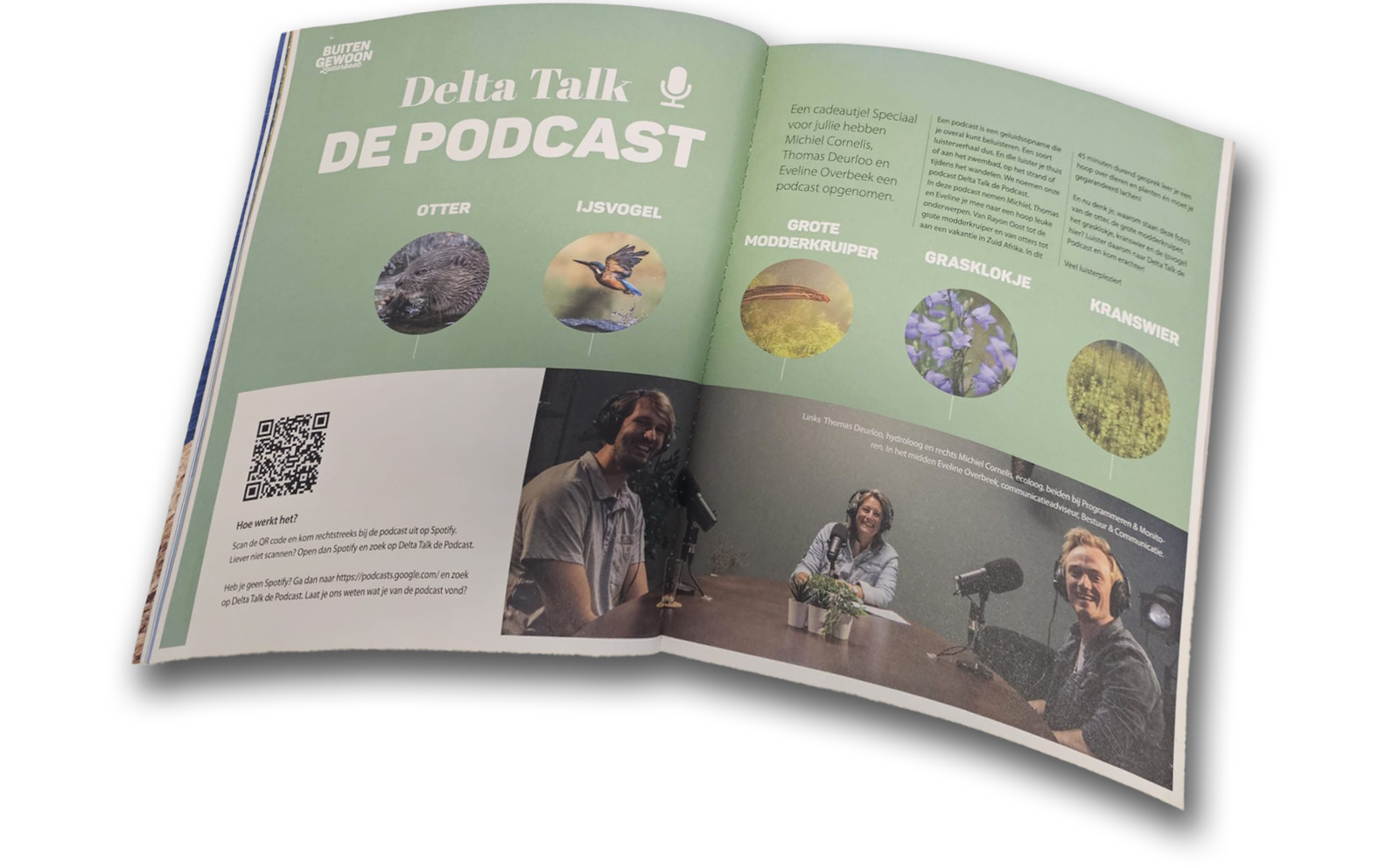 Delta talk delta talk